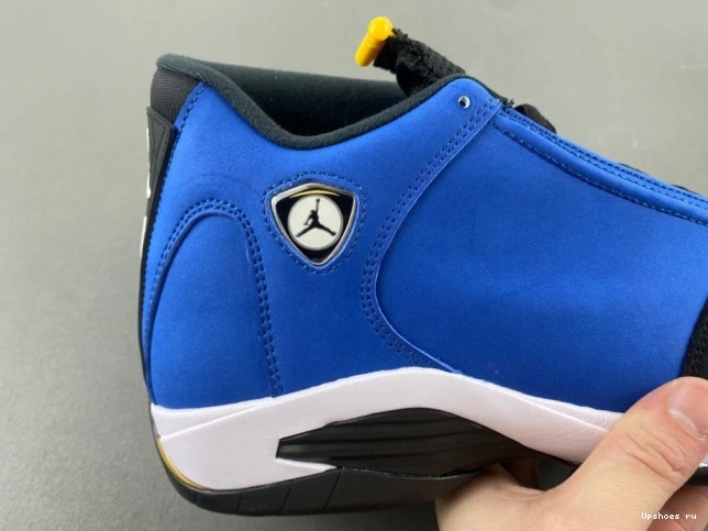 “Laney”  14 Jordan Air  487471-407 0910